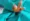 Lacerations - img