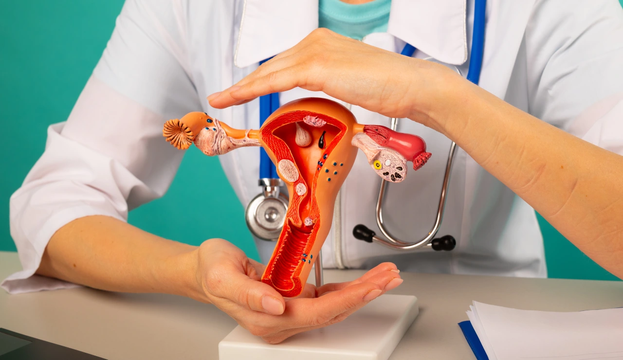 Labioplasty Testimonial